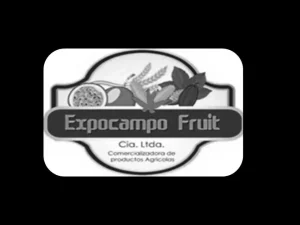 expocampo-fruit